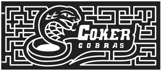 12_SC_Sumter South Carolina, snake, Team, mascot, cobra, 2012, logo, sponsor
