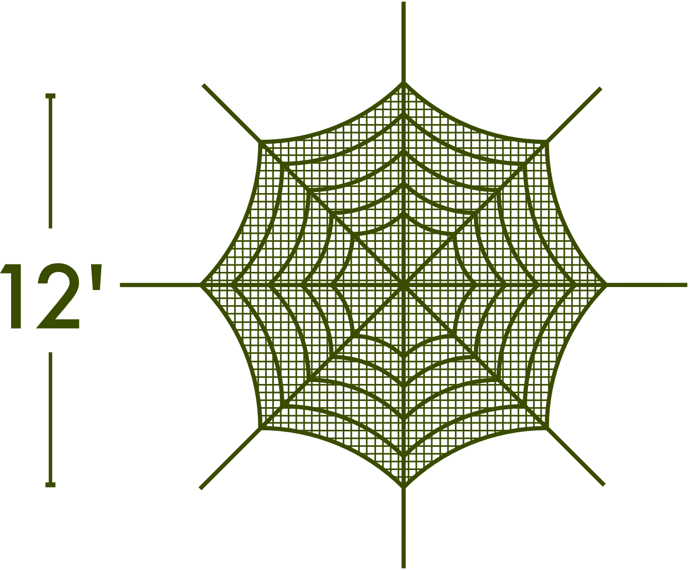 Spider Web - The MAiZE