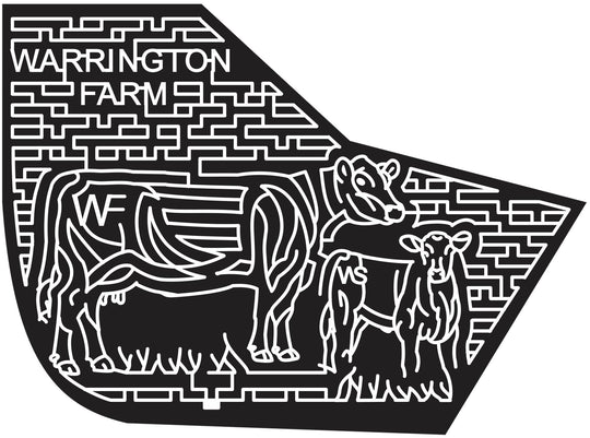 14_MD_Queenstown 2014 Maryland cow calf animal grass farm.JPG