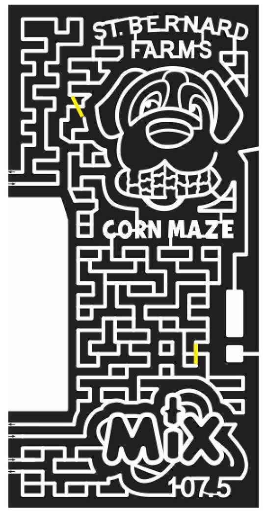 14_NM_Clovis 2014 New Mexico dog mix animal puppy st bernard.JPG