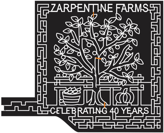 14_NY_Hilton 2014 New York tree branch apple leaves basket fence pumpkin.JPG