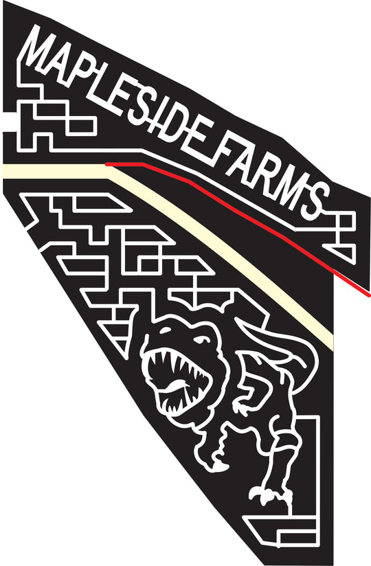 15_OH_Brunswick, 2015, Ohio, News Brunswick, t-rex, mapleside, farms, Brunswick, dinosaur