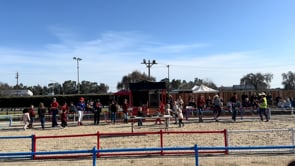 Pig Races at Dell'Osso Family Farm