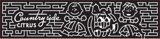 16_ FL_Vero Beach, 2016, Florida, great pumpkin, peanuts, charlie brown, linus, pumpkin, snoopy