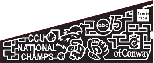 16_SC_Myrtle Beach, 2016, South Carolina, baseball, mit, chicken, logo, radio logo, chick fil a, chick-fil-a, abc