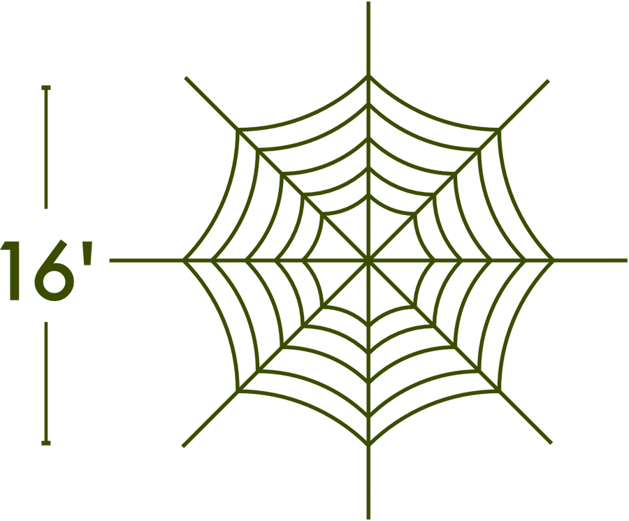 Spider Web - The MAiZE
