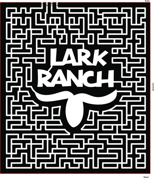 18_IN_Greenfield lark ranch steer head horns bull