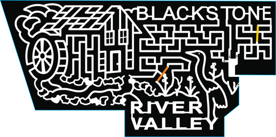 18_MA_Whitinsville blackstone river valley bird flowers water water wheel house cloud