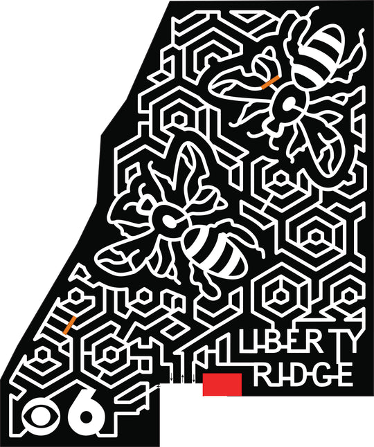 18_NY_Schaghticoke liberty ridge 6 bees bee honeycomb  news