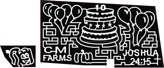 18_Reeves_LA Pumpkin birthday cake balloons CM Farms Joshua 24/15 10 star stars balloon spookley