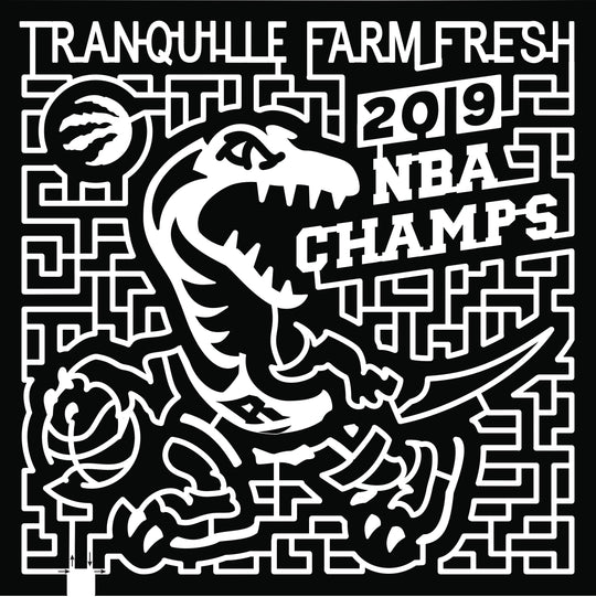 19_BC_Kamploops raptors nba champs 2019 basketball dinosaur.jpg