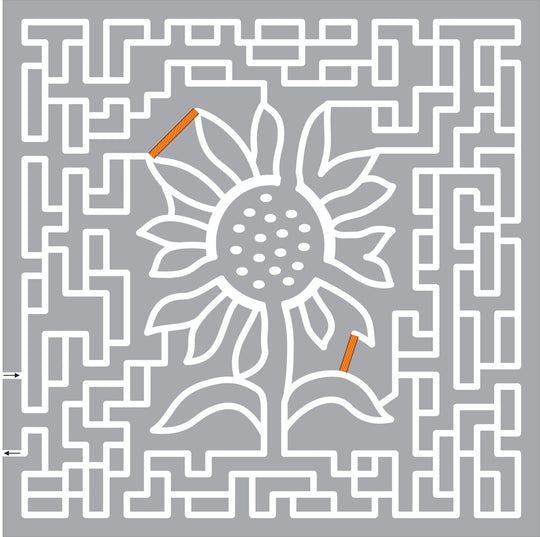 19_CA_San Luis Obispo sunflower.jpg