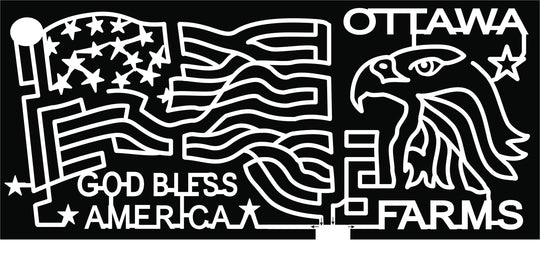 19_GA_Bloomingdale god bless america american flag eagle bald eagle freedom patriotic.jpg