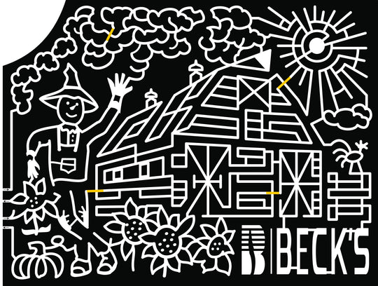 19_IL_Normal scarecrow sun barn farm rooster sunflower becks clouds flower chicken.jpg