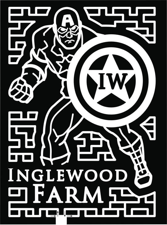 19_LA_Alexandria captain america shield star superhero.jpg