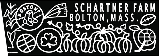 19_MA_Bolton  patriots football boston red socks hockey four leaf clover basketball celtics.jpg