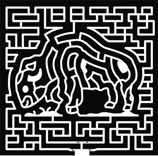 19_MN_Savage buffalo grass bison.jpg