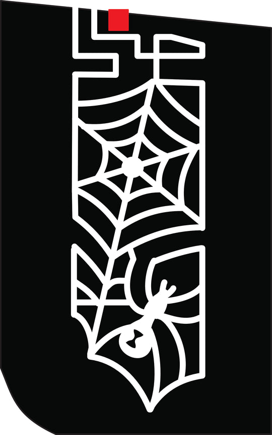 19_NC_Charlotte 2 spider web.jpg