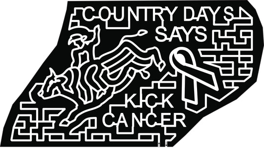 19_NC_Charlotte kick cancer breast cancer ribbon bull riding rider cowboy hat cow.jpg