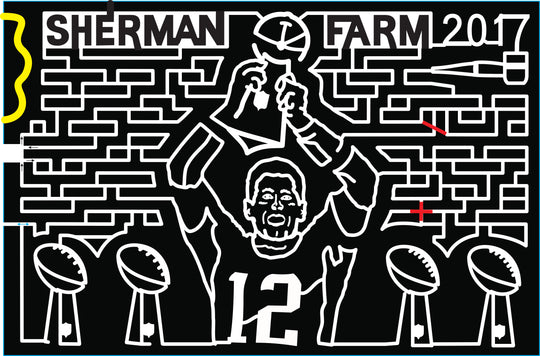 2017 17_NH_Center Conway, tom brady, trophy, football, nfl, patriots.jpg