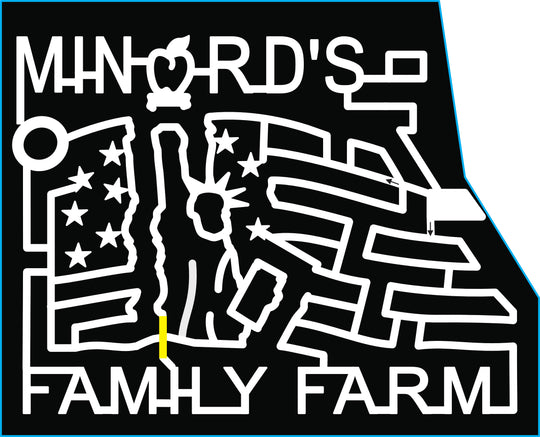 2017 17_NY_Clintondale, apple, liberty, statue of liberty, flag, america, usa.jpg