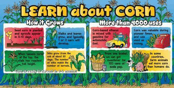 Corn Education Banner - The MAiZE