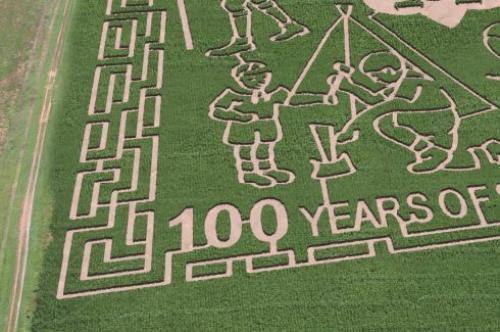 Custom Corn Maze Mock Up