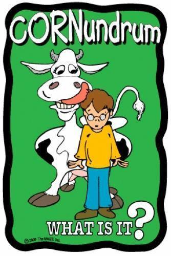 Cow Lick Cornundrum - The MAiZE