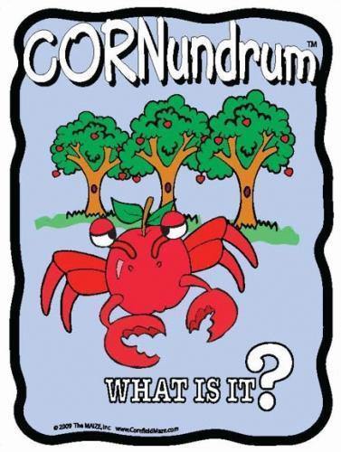Crab Apple Cornundrum - The MAiZE