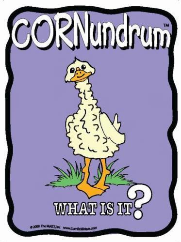 Goosebumps Cornundrum