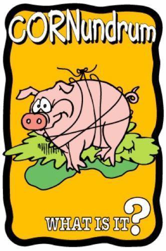 Hog Tied Cornundrum - The MAiZE