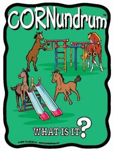 Horse Play Cornundrum - The MAiZE