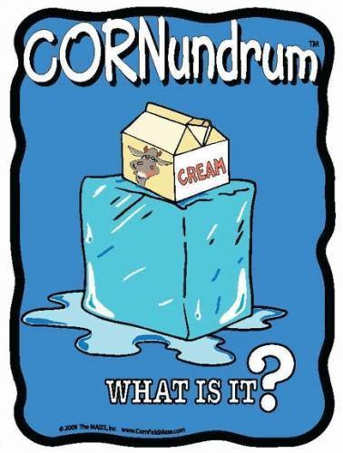 Ice Cream Cornundrum