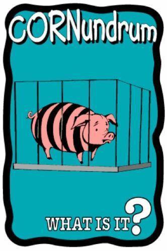 Pig Pen Cornundrum - The MAiZE