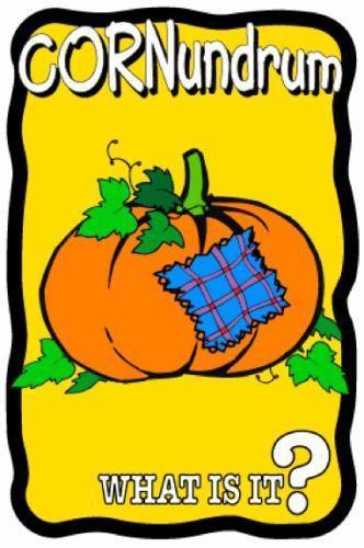 Pumpkin Patch Cornundrum