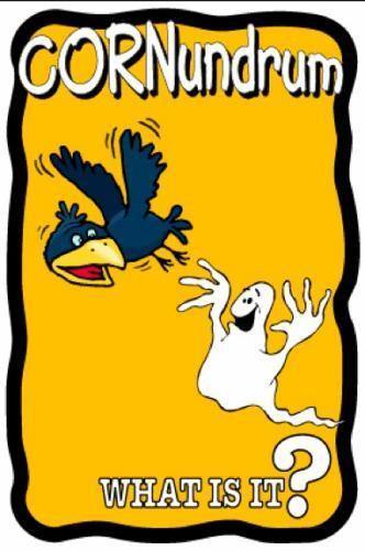 Scarecrow Cornundrum