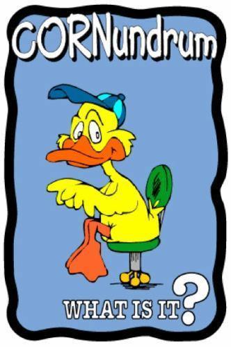 Sitting Duck Cornundrum