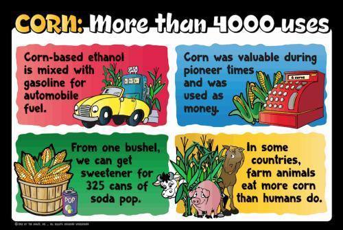 Corn Education Sign - Uses - The MAiZE