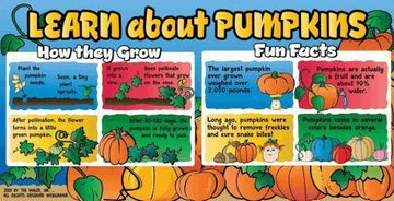 Pumpkin Education Banner - The MAiZE