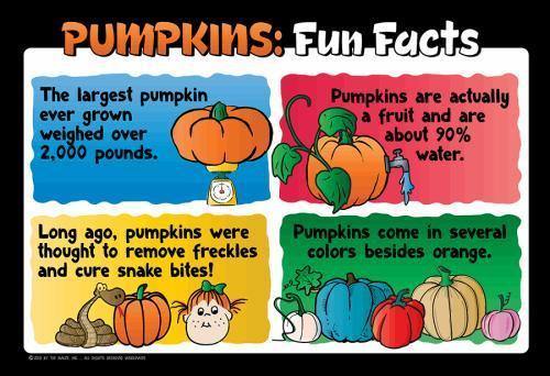 Pumpkin Education Sign - Fun Facts