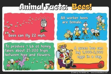 Bees Education Sign - The MAiZE