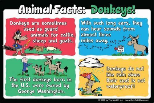 Donkey Education Sign