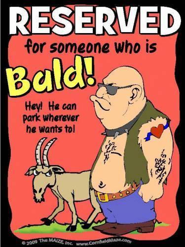 Bald #1 Parking Sign - The MAiZE
