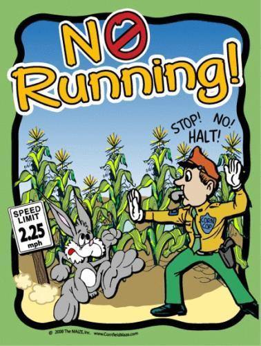 No Running Sign
