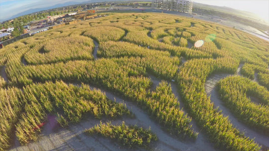 aerial drone utah cornbellys glide slow Corn Maze Glide