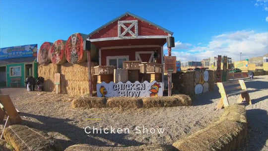 Chicken Show