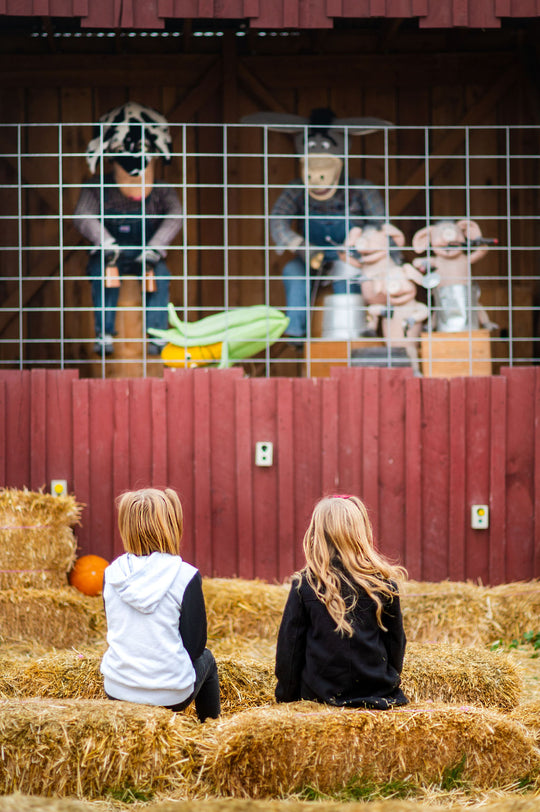 kids watching animal band show