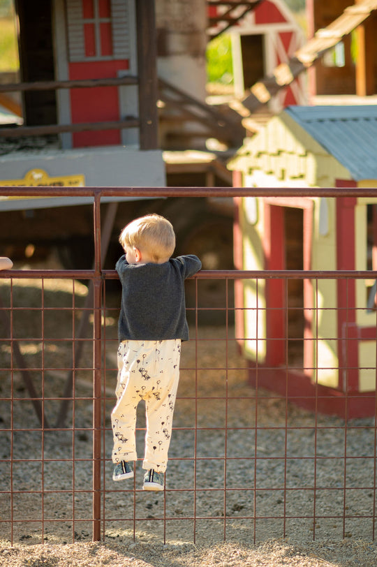 Animal Corral_Little Boy_on Goat Fence