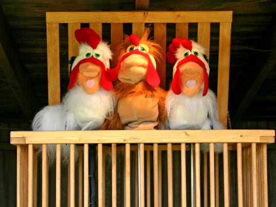 Chicken Show_Puppets_Cage Singing.jpg
