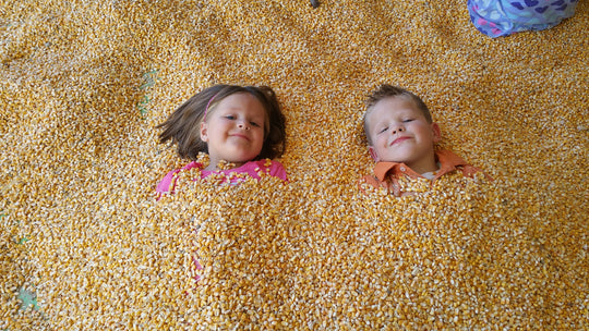 Corn Cob Beach_Boy Girl_covered in kernels.jpg